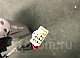 : Screenshot_5