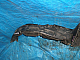    (): 65e63a16