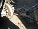   Fiat Albea  ABS: IMG_7204